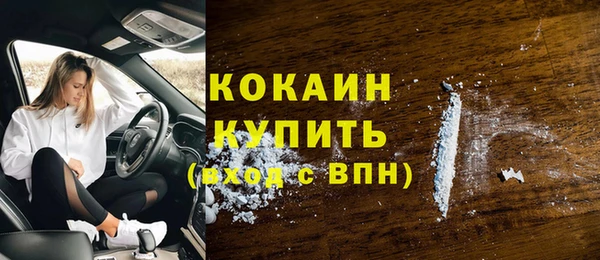 спайс Ладушкин