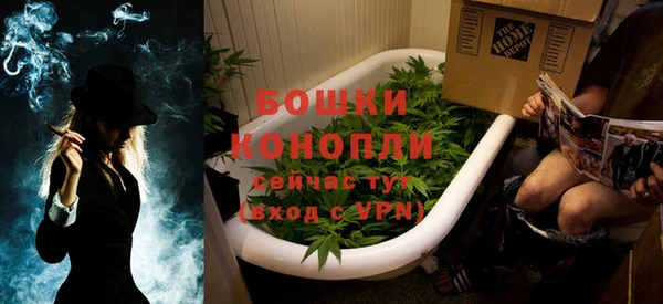 спайс Ладушкин