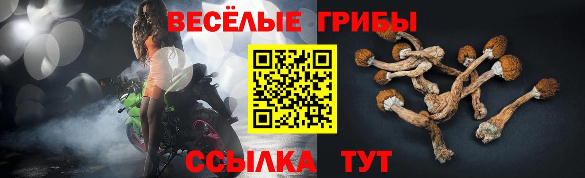 Галлюциногенные грибы мицелий Сызрань